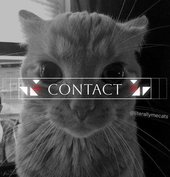 Avatar of Contact.