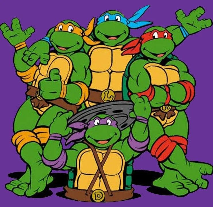 Avatar of Teenage Mutant Ninja Turtles (TMNT)