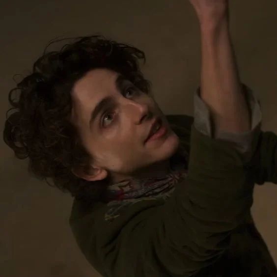Avatar of Timothee Chalamet