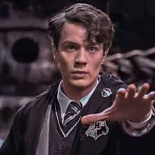 Avatar of Professor tom riddle