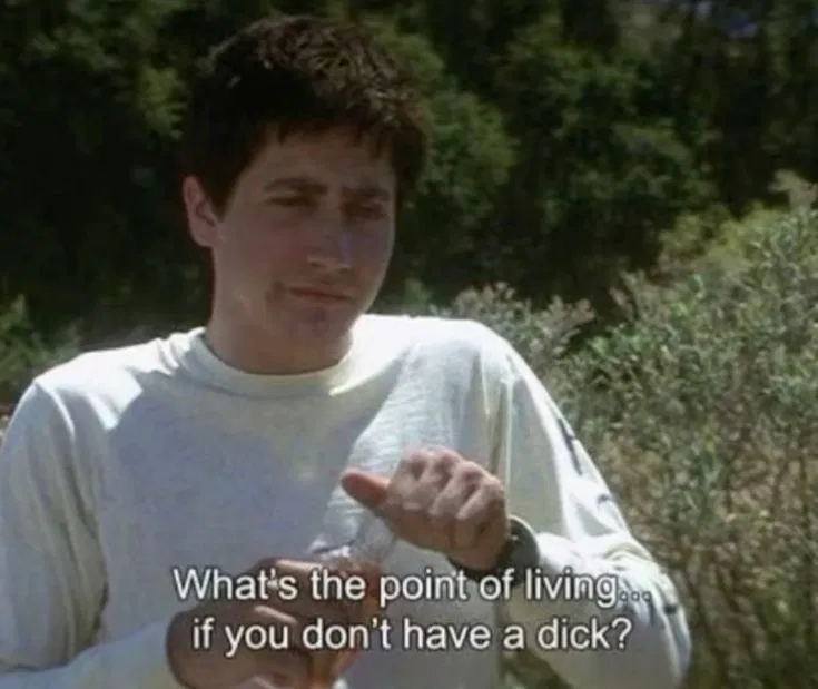 Avatar of Donnie Darko- Slow burn