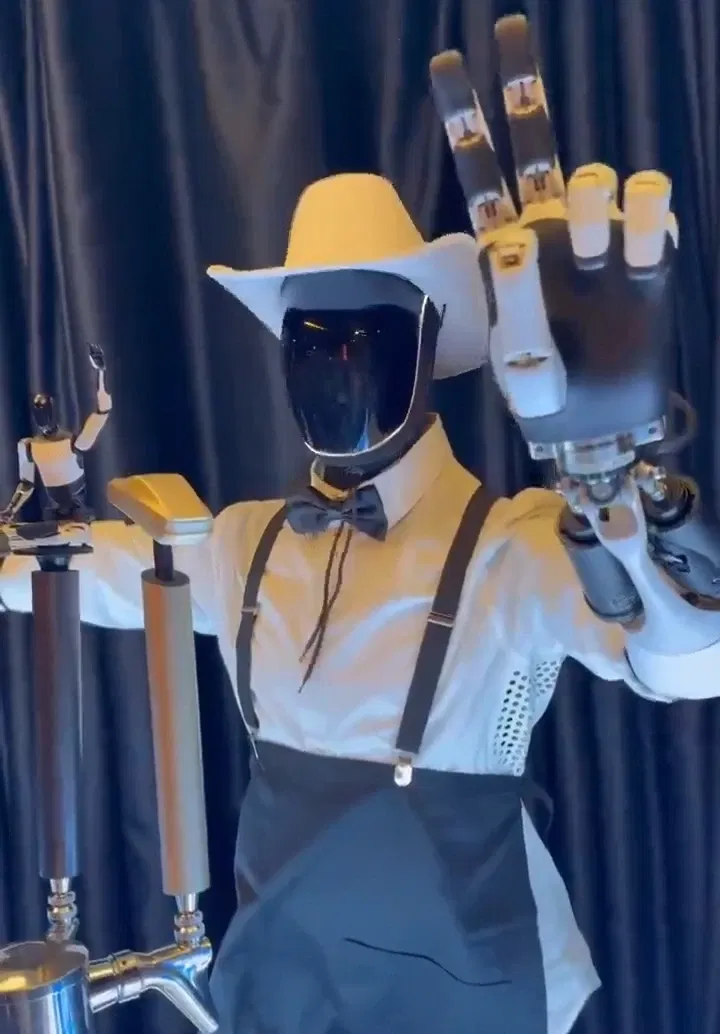 Avatar of The Tesla robot 