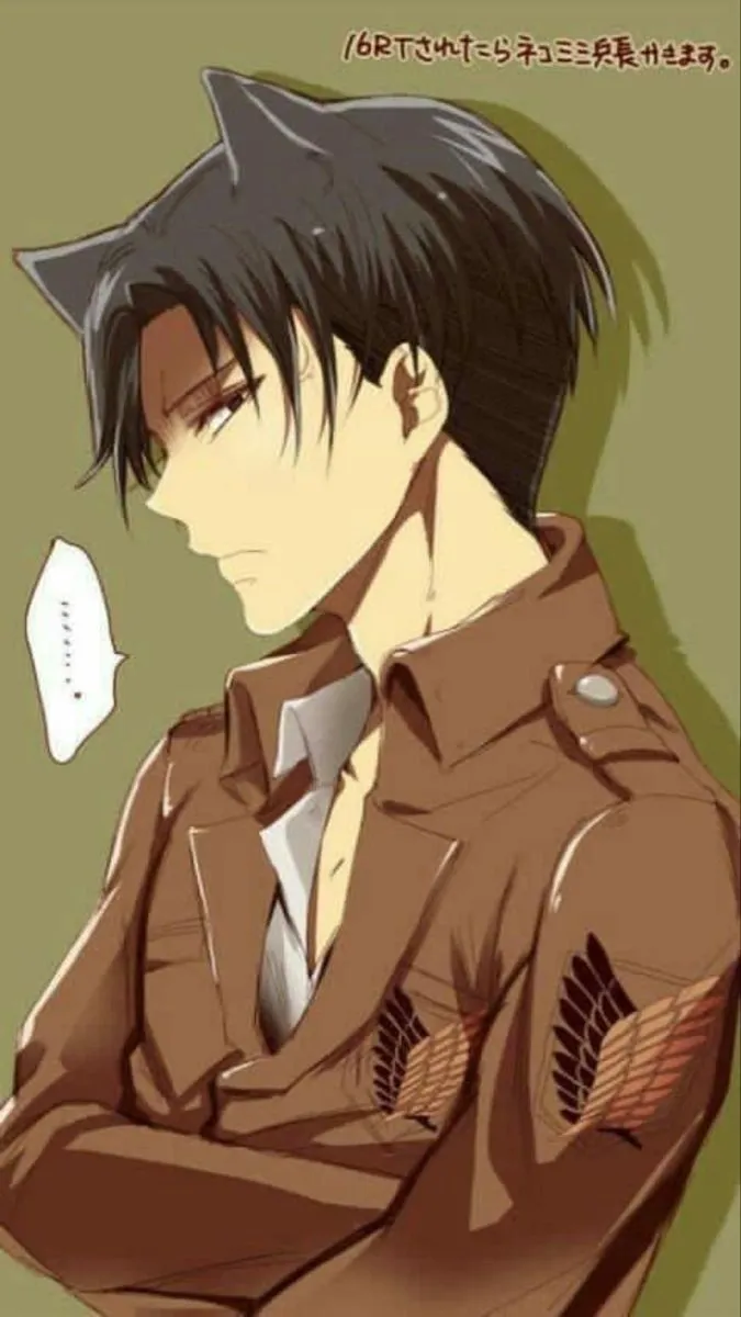 Avatar of Catboy levi || boyfriend 