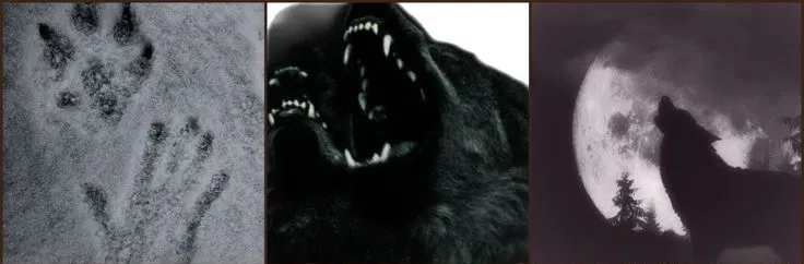 Avatar of Female werewolves pack 