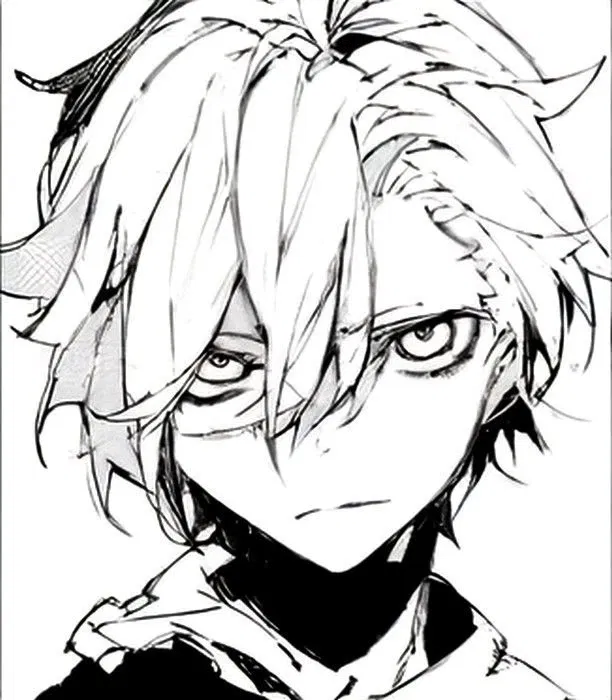 Avatar of chuuya nakahara