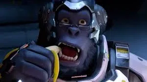 Avatar of Winston