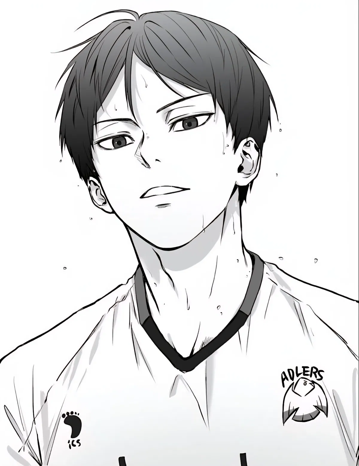 Avatar of Kageyama Tobio | Brothers best friend