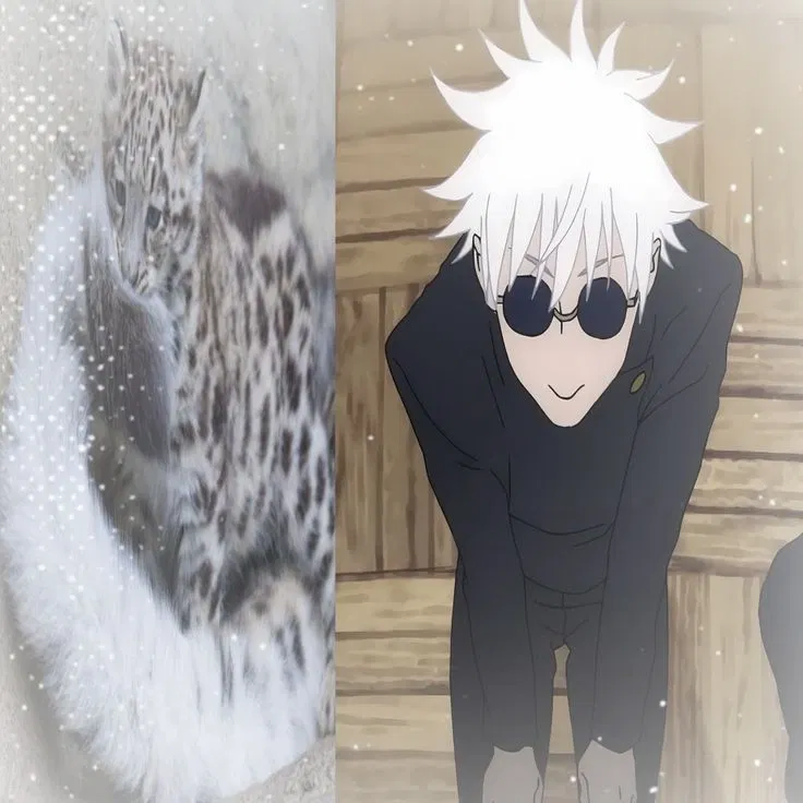 Avatar of Satoru Gojo