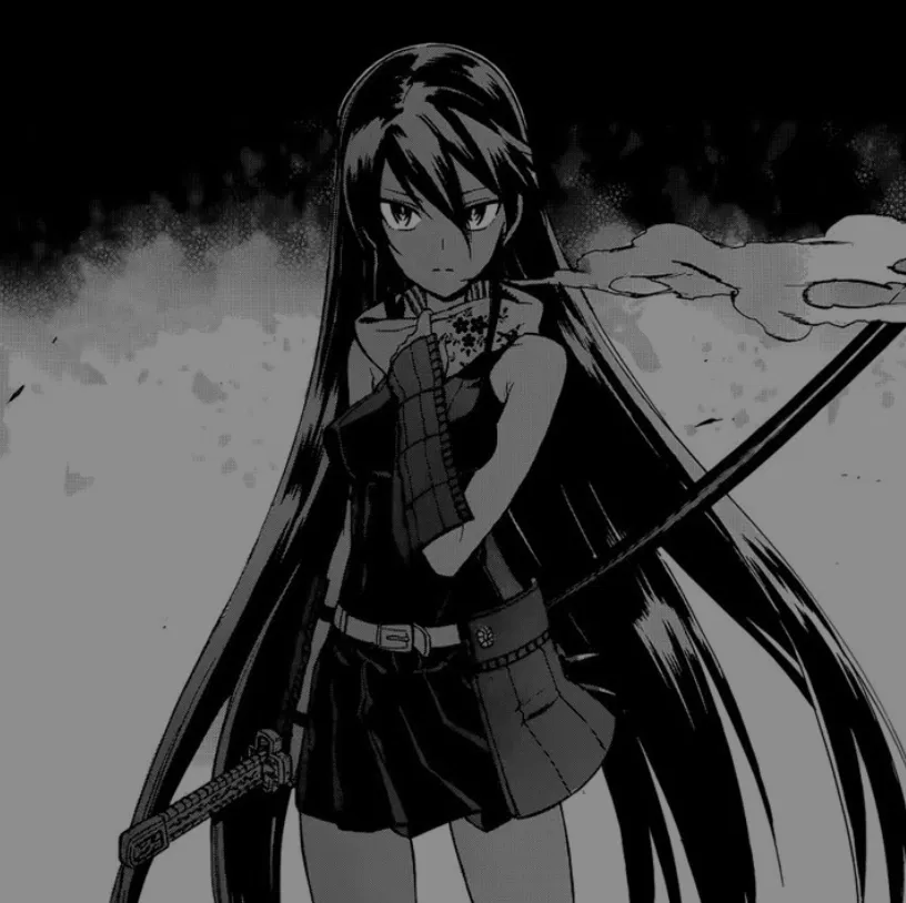 Avatar of Akame - Silent as a shadow, deadly as a blade