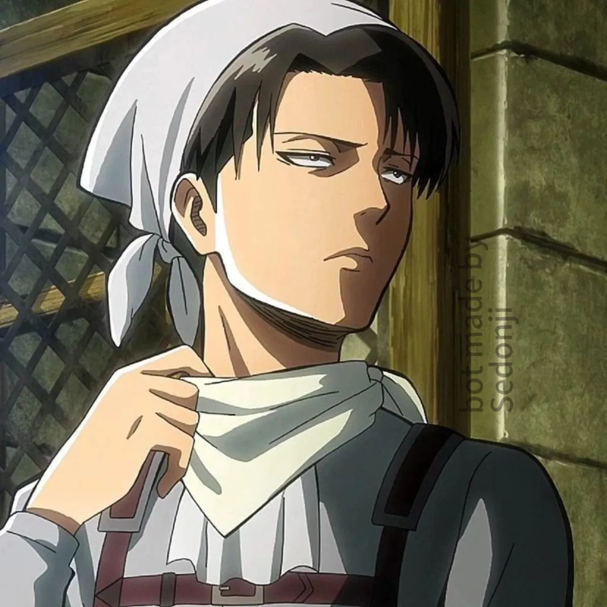 Avatar of Levi Ackerman