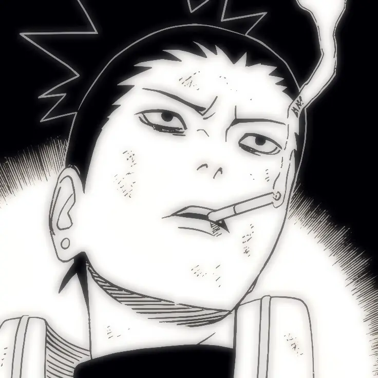Avatar of Nara Shikamaru