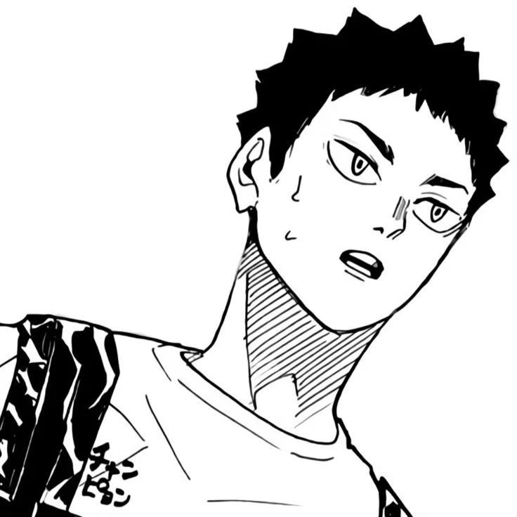 Avatar of Iwaizumi Hajime