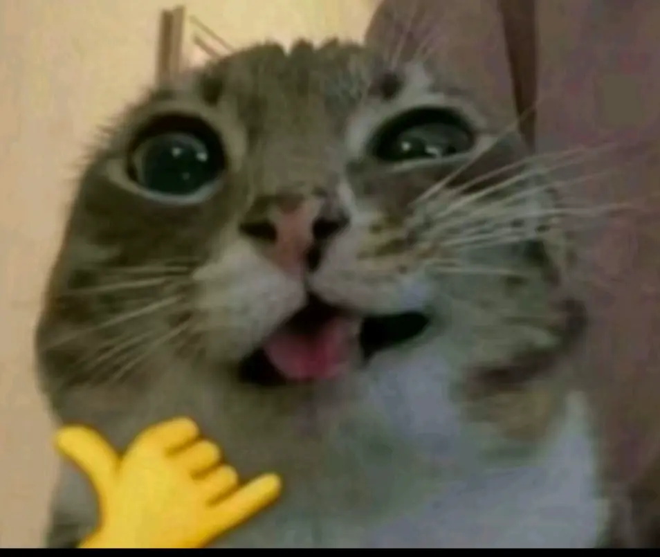 Avatar of lelele