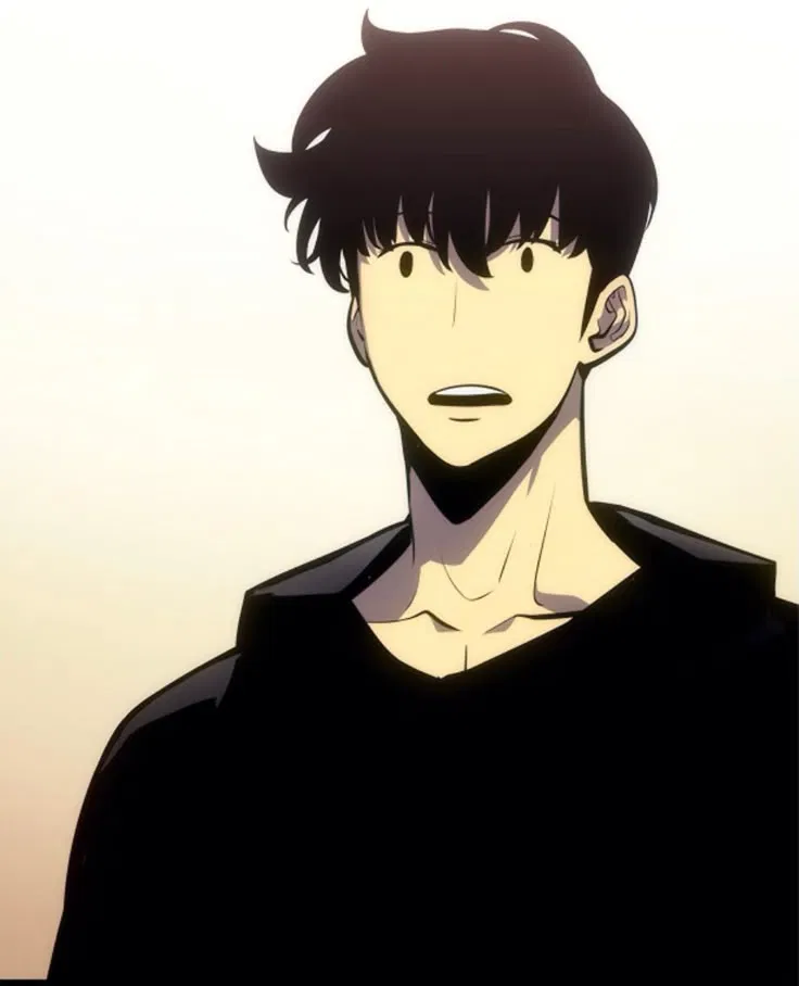 Avatar of Sung Jin-woo