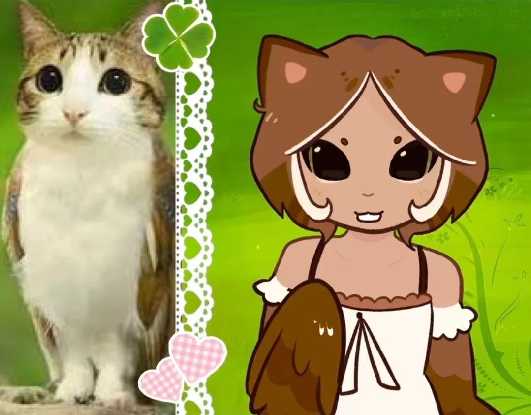 Avatar of Meowl 🦉🦉🦉🦉 🐱🐱🐱🐱🐱 meowl meowl meowl