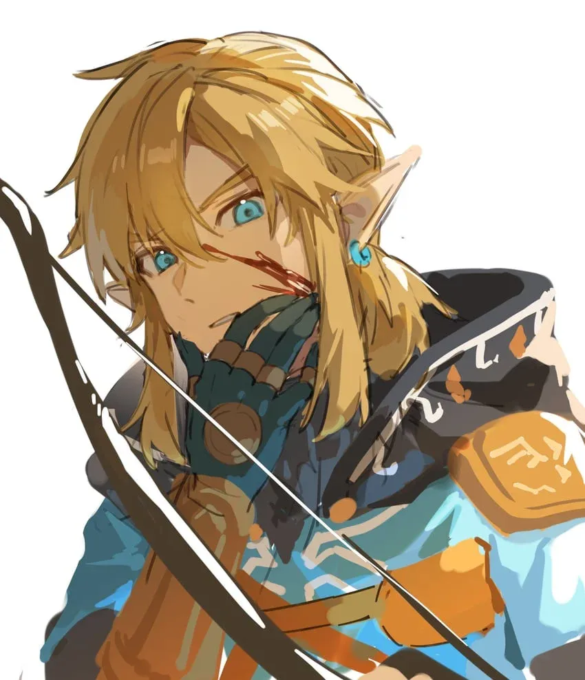 Avatar of BOTW Link