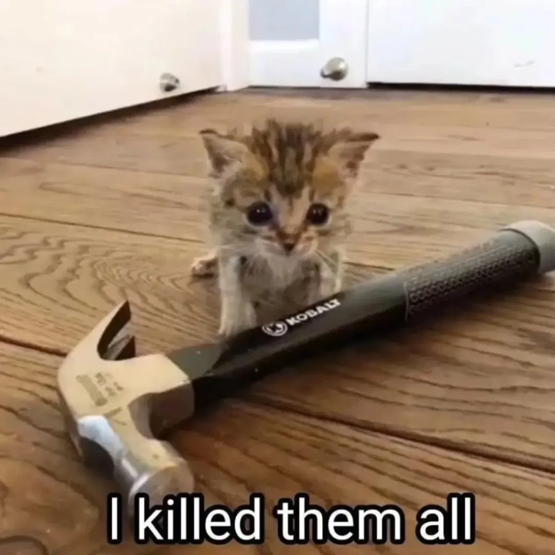 Avatar of The Aggressive Cat