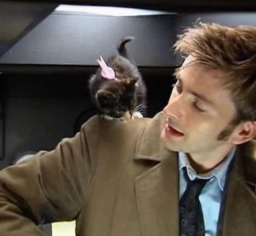 Avatar of The Tenth Doctor