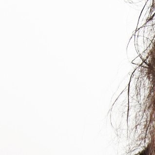 Avatar of ROBERT SMITH