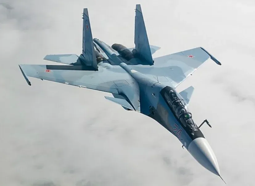 Avatar of Su-30 Flanker