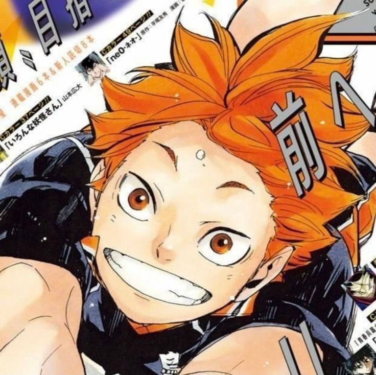 Avatar of Hinata Shoyo 