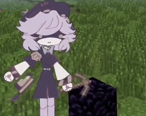 Avatar of Playing minecraft with N
