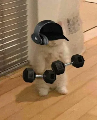 Avatar of Your gym bro