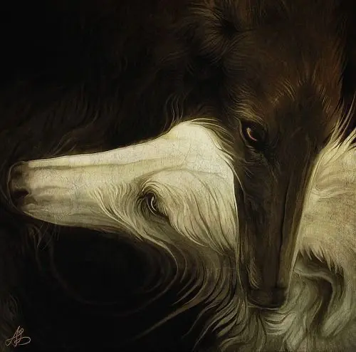 Avatar of Hounds of Canis