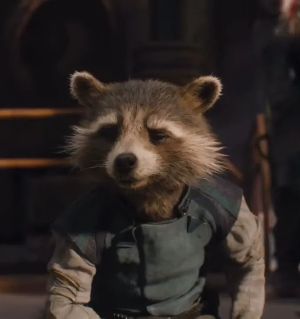 Avatar of Rocket Raccoon