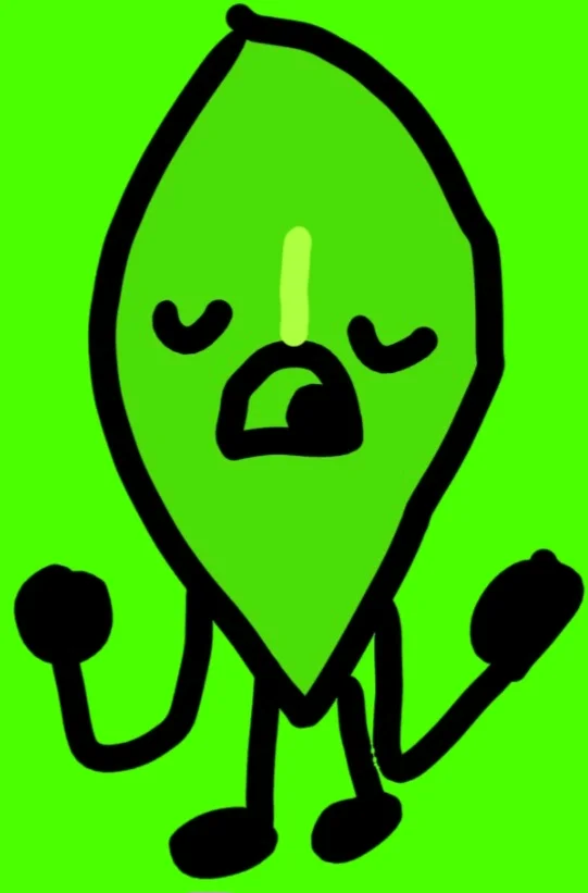 Avatar of Leafy - BFB 3