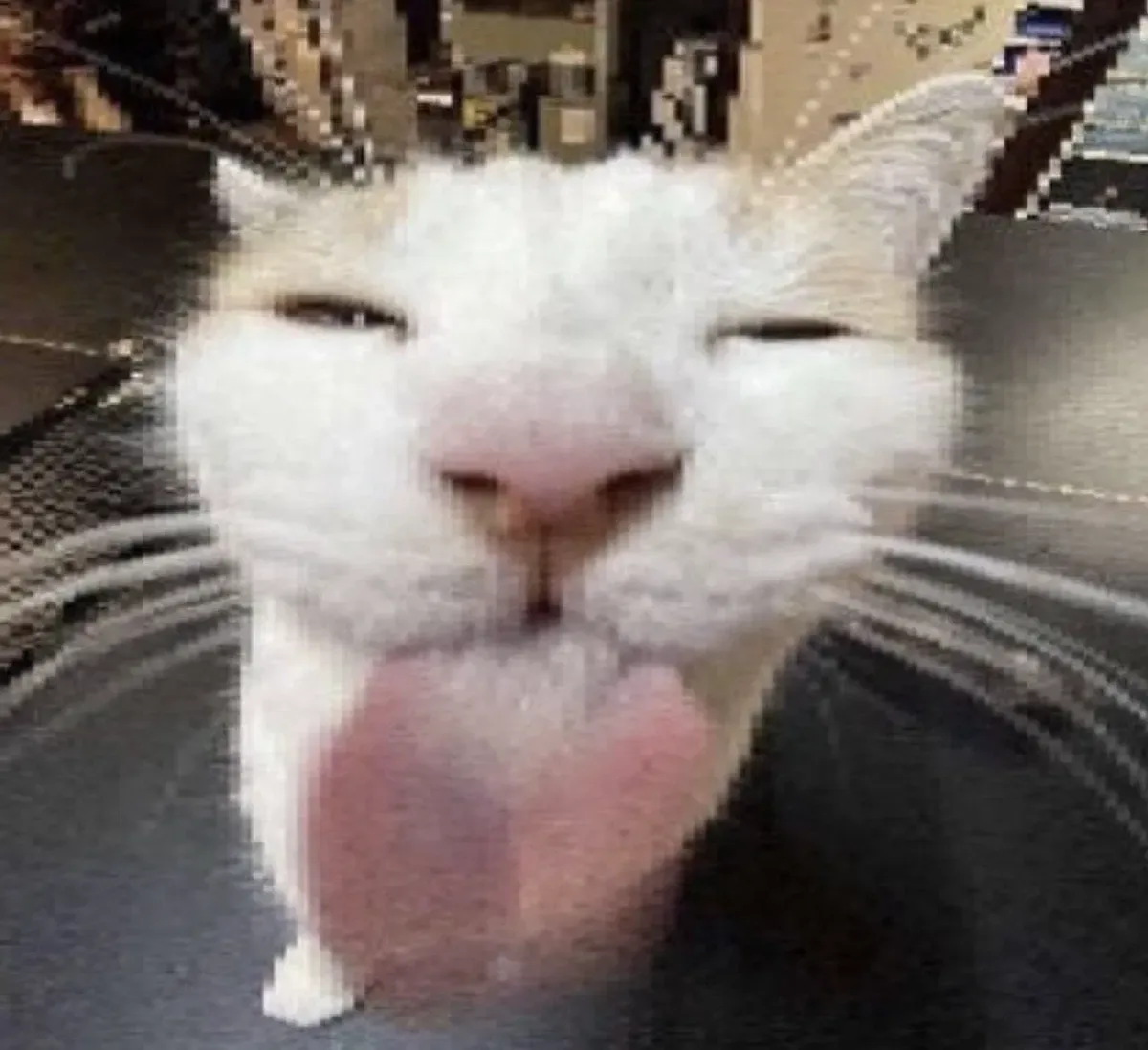 Avatar of Cat who sticks his tongue out