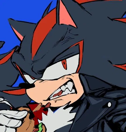 Avatar of {Possessive!} Shadow The Hedgehog