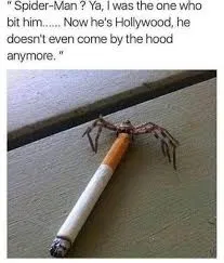 Avatar of spidy hood