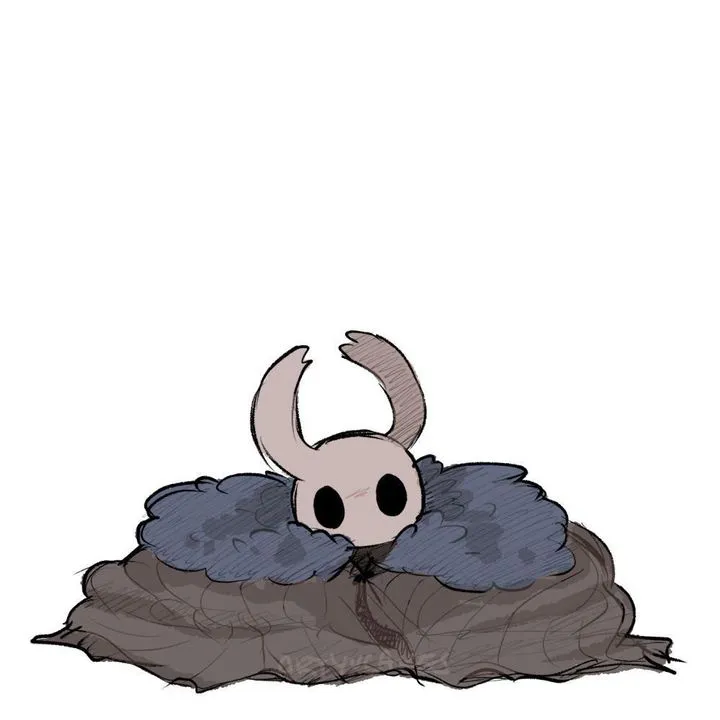 Avatar of Hollow Knight