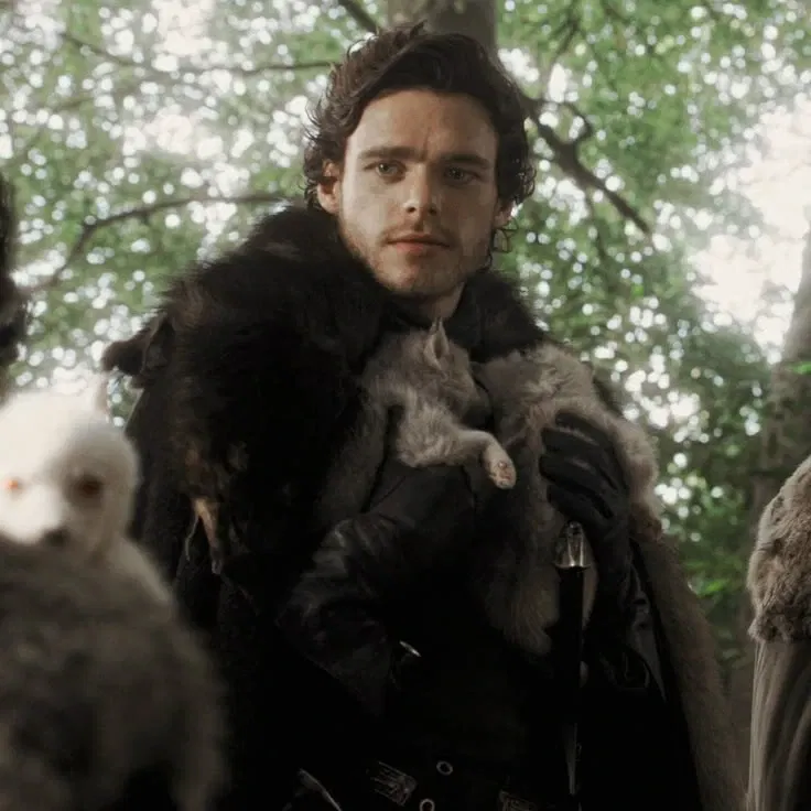 Avatar of Robb Stark 