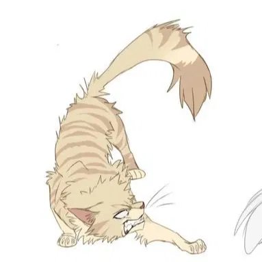 Avatar of Katsuki Bakugou cat