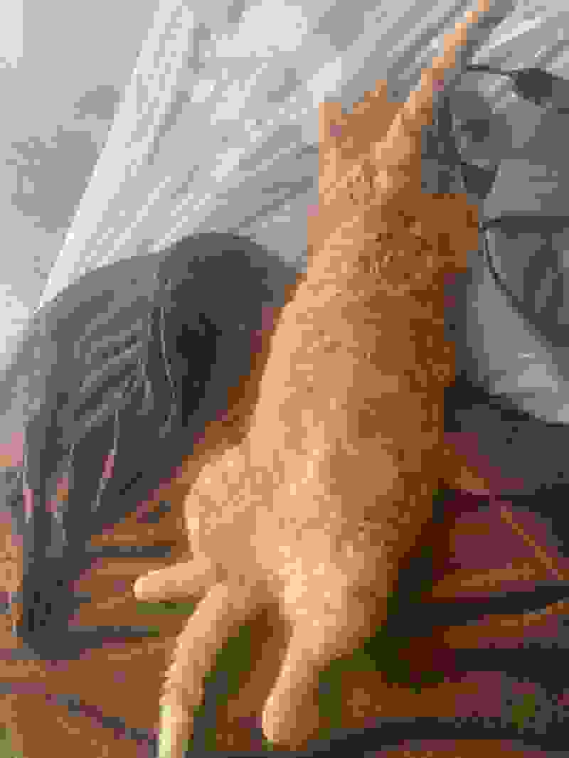Avatar of Tipunch