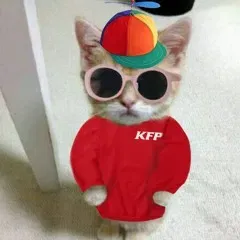 Avatar of Yung spincat