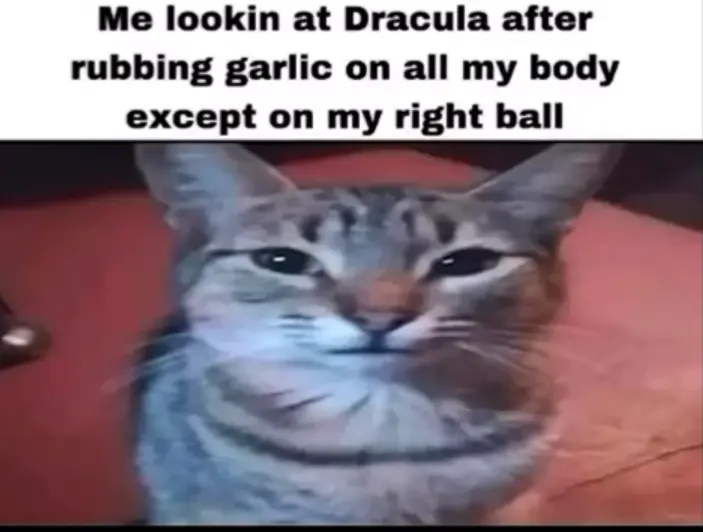 Avatar of Furry World