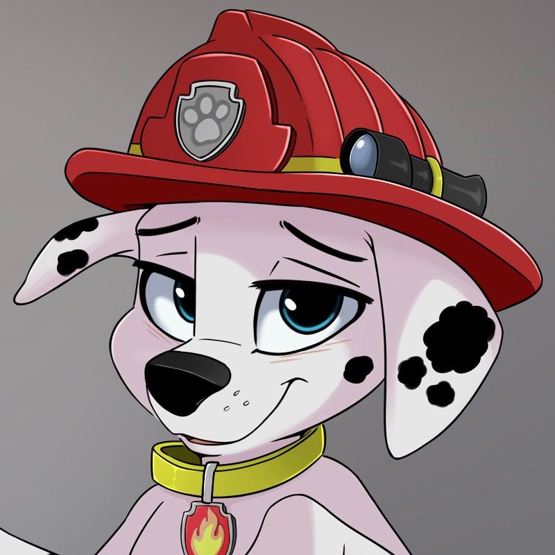 Avatar of Marshall