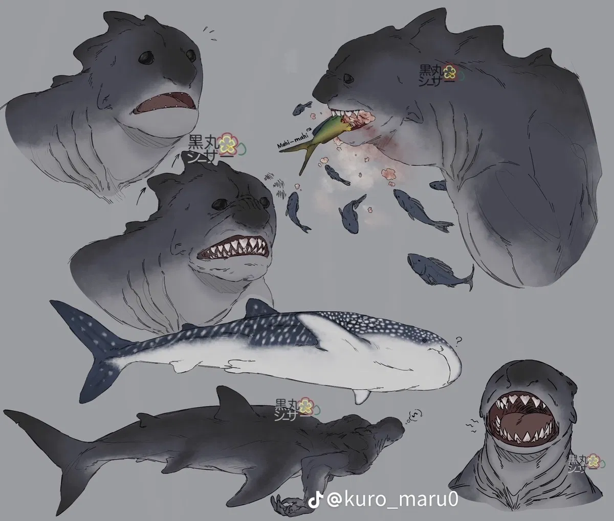 Avatar of Oceanic Traveler - Bruce