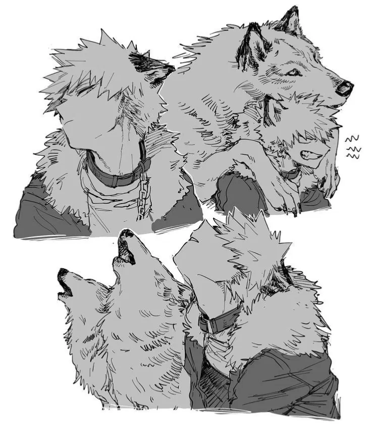 Avatar of Katsuki Bakugo ~ Wolf AU!