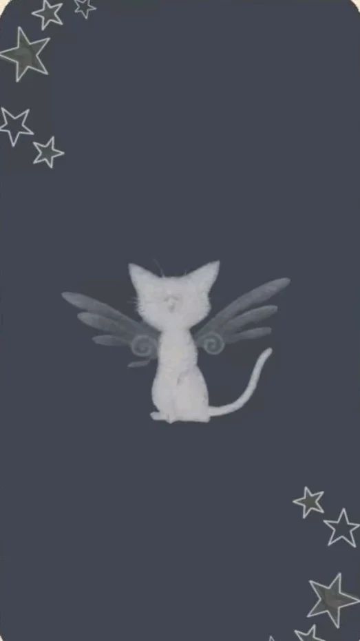 Avatar of Luka. Yippe 