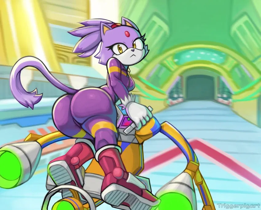 Avatar of Blaze The Cat (Racing Day)
