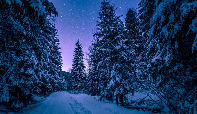 Avatar of Winter Survival Roleplay