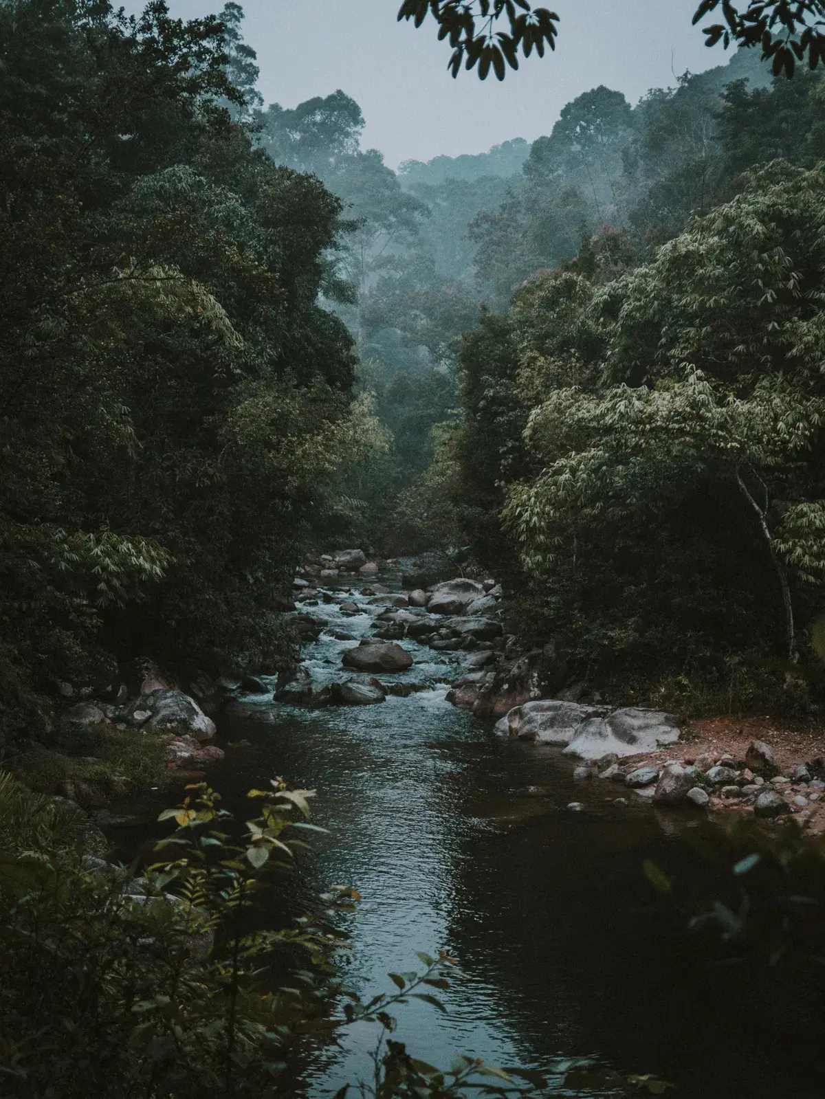 Avatar of Julien, Matthias, and Noah | STRANDED
