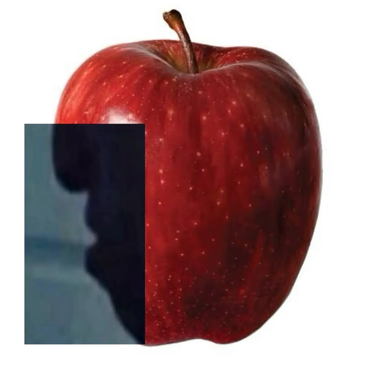Avatar of aporl foole