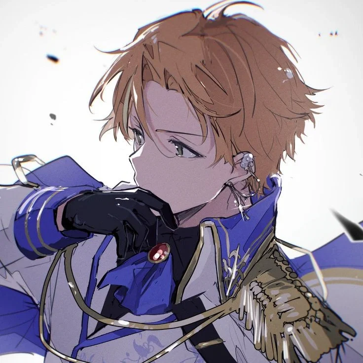 Avatar of Knight Akito Shinonome