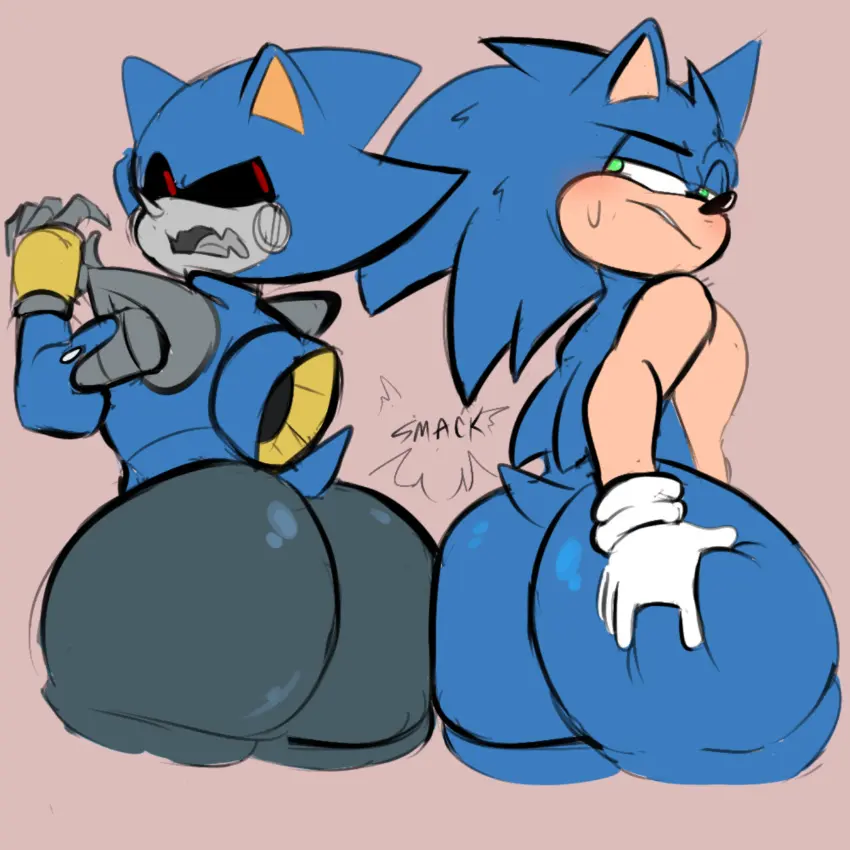 Avatar of Sonic & Metal Sonic