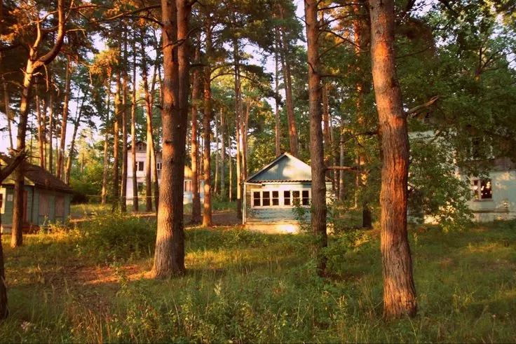 Avatar of Camp 